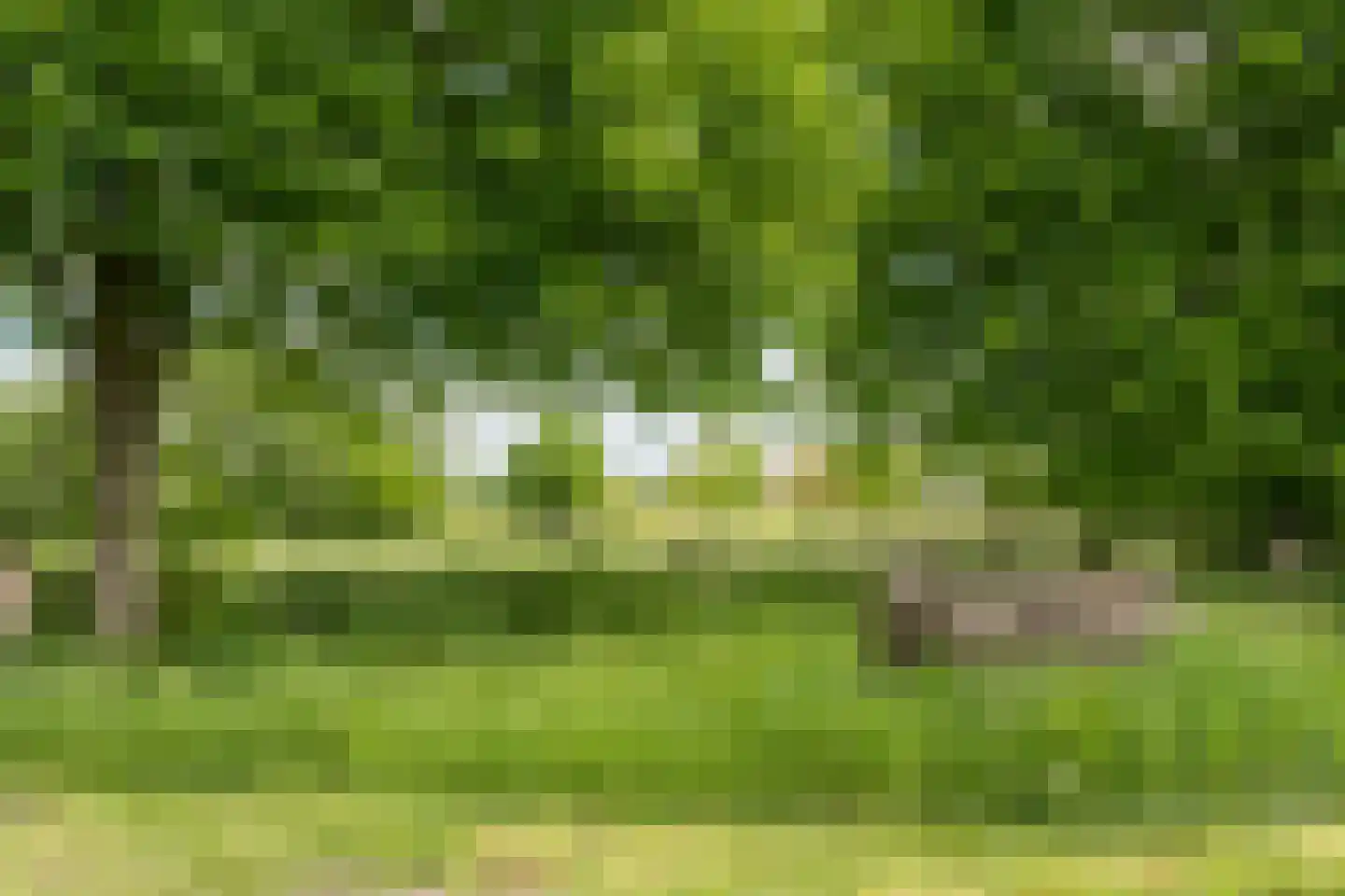 Hogeboekelweg 87 Losser thumbnail 4