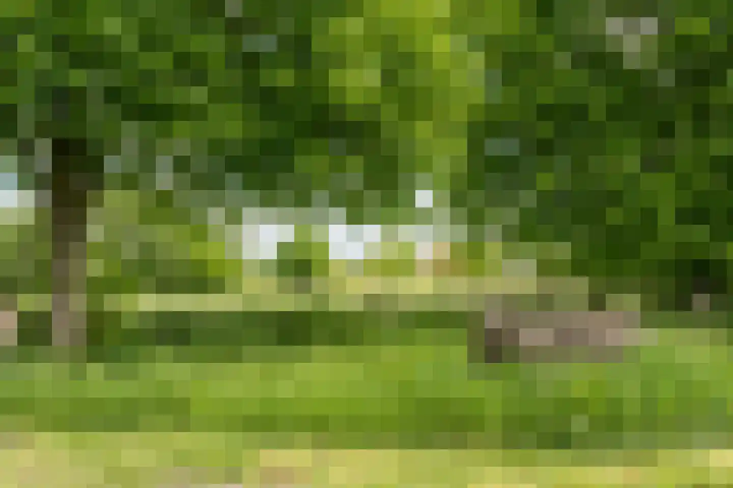 Hogeboekelweg 87 Losser thumbnail 40