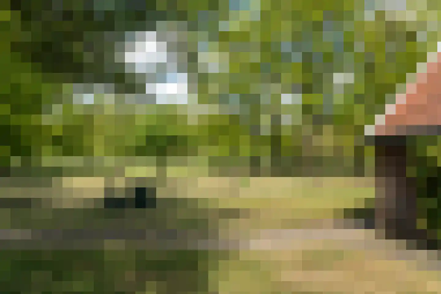Hogeboekelweg 87 Losser thumbnail 41