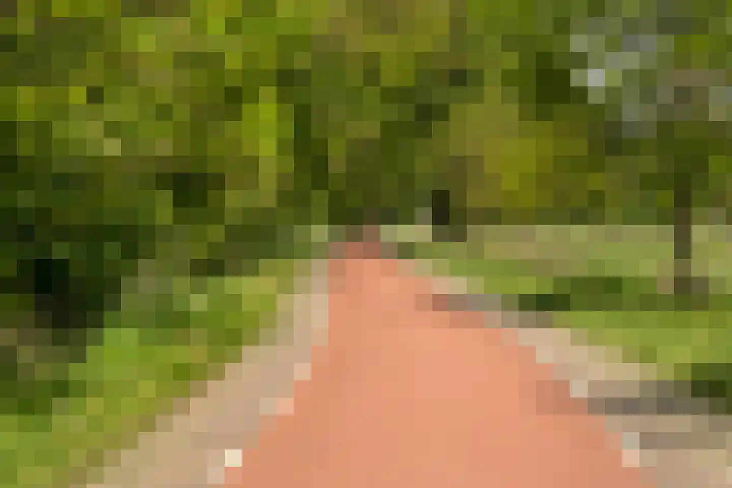 Hogeboekelweg 87 Losser thumbnail 45