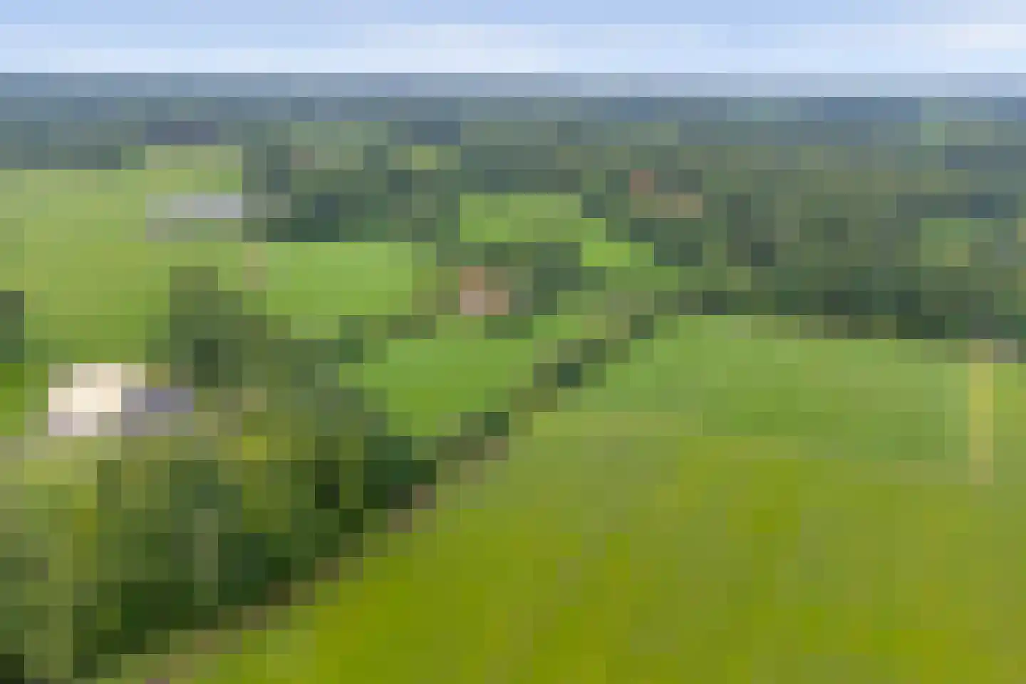 Hogeboekelweg 87 Losser thumbnail 48