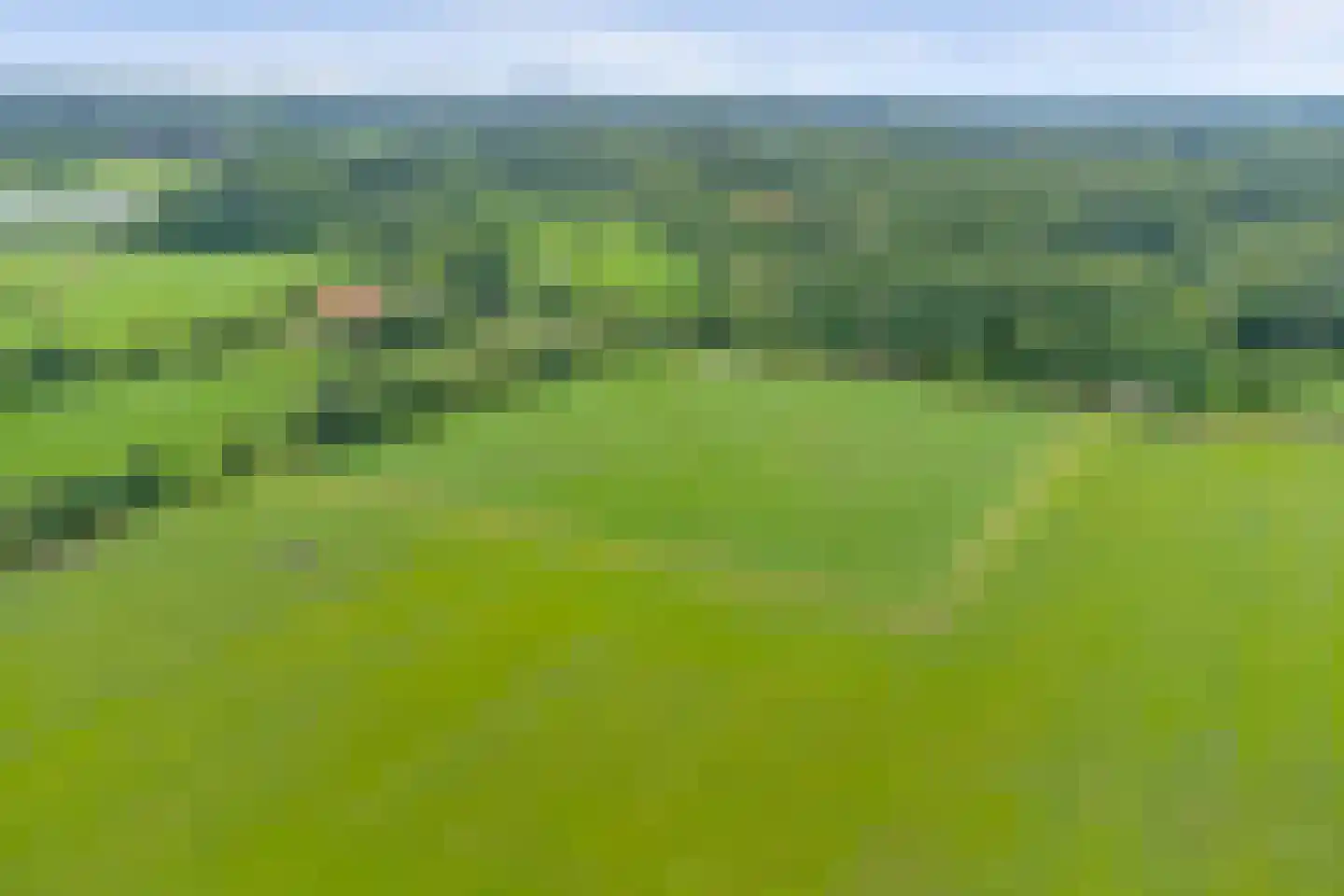 Hogeboekelweg 87 Losser thumbnail 49