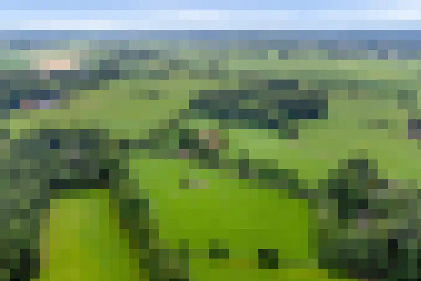 Hogeboekelweg 87 Losser thumbnail 5