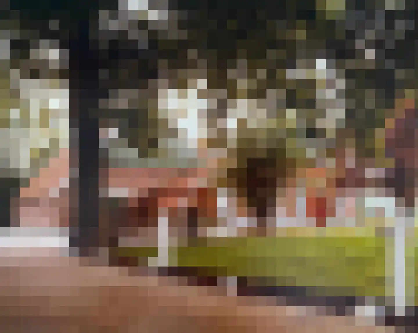 Hogeboekelweg 87 Losser thumbnail 6