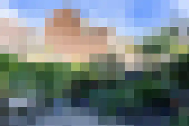 Hogeborg 46 Maastricht thumbnail 22