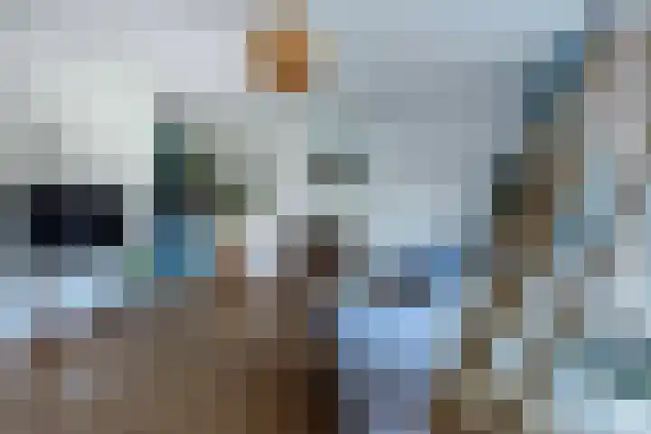 Hogeborg 46 Maastricht thumbnail 8