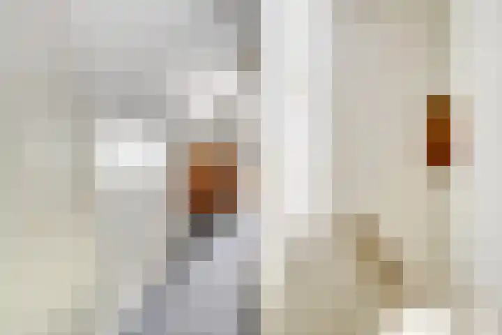 Hogebrink 8 Enter thumbnail 13