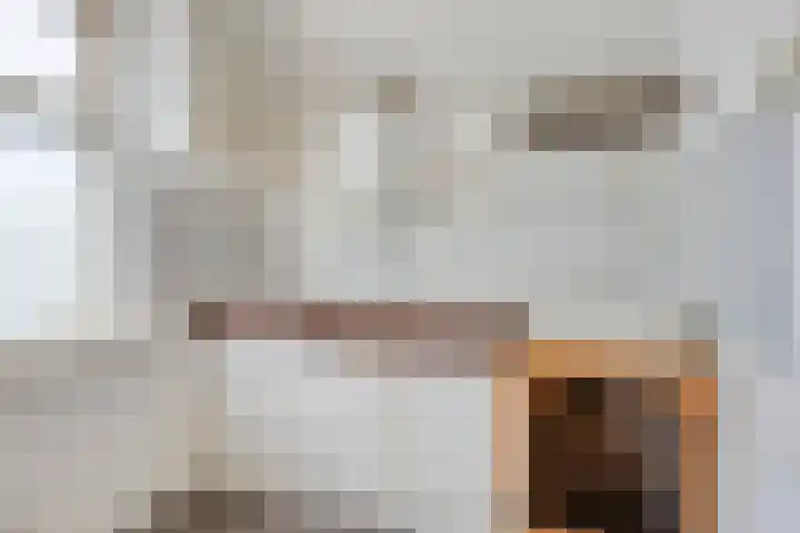 Hogebrink 8 Enter thumbnail 22