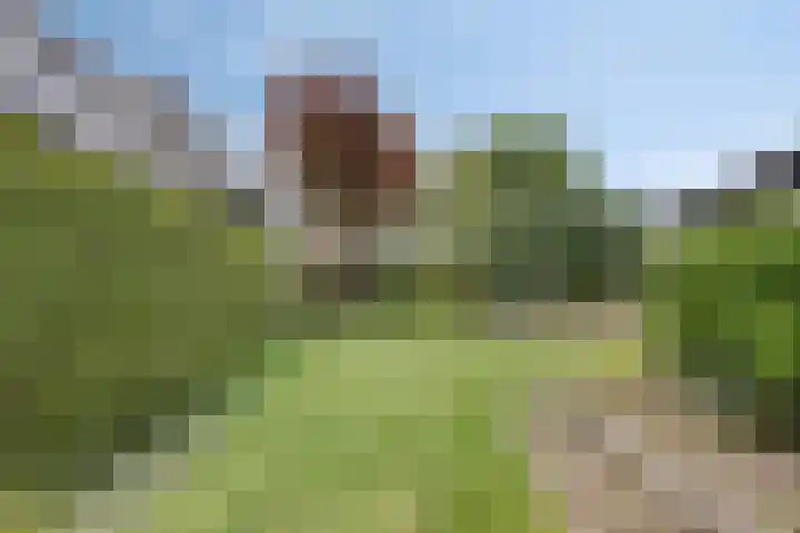 Hogebrink 8 Enter thumbnail 24