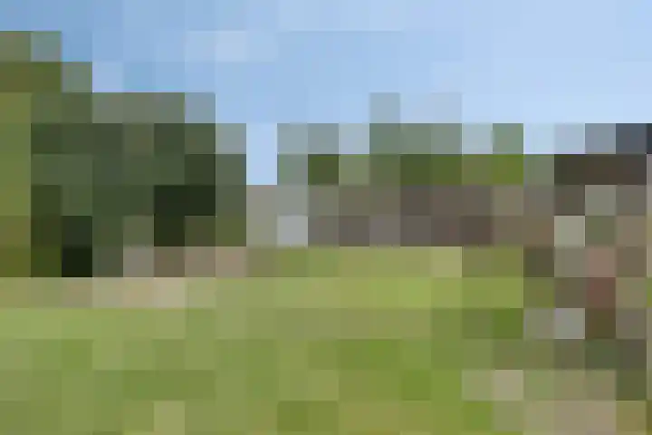 Hogebrink 8 Enter thumbnail 25