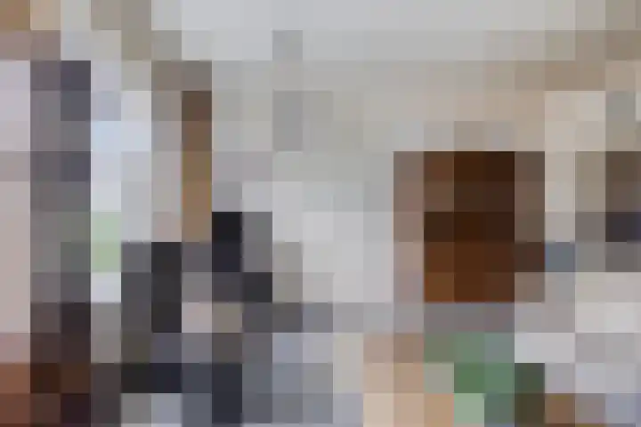 Hogebrink 8 Enter thumbnail 4