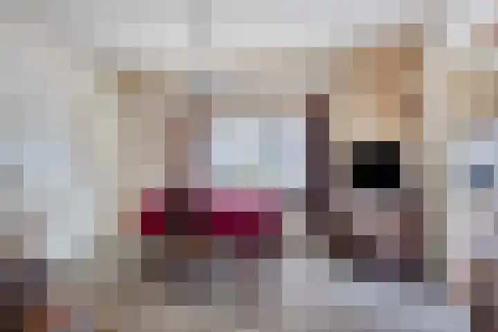 Hogebrink 8 Enter thumbnail 6