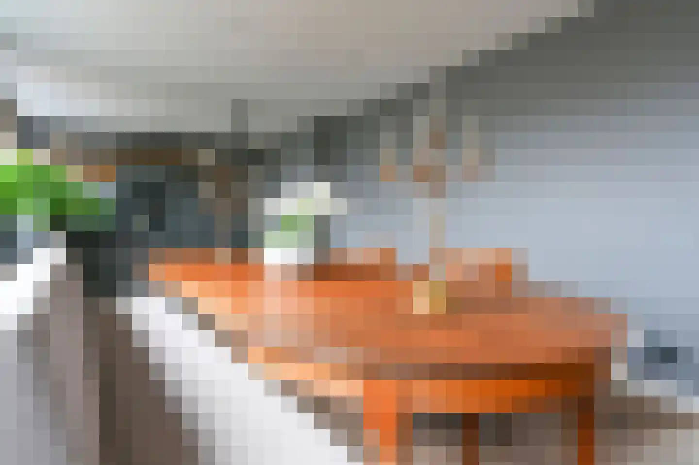Hogebrinkerweg 5 Hoevelaken thumbnail 30