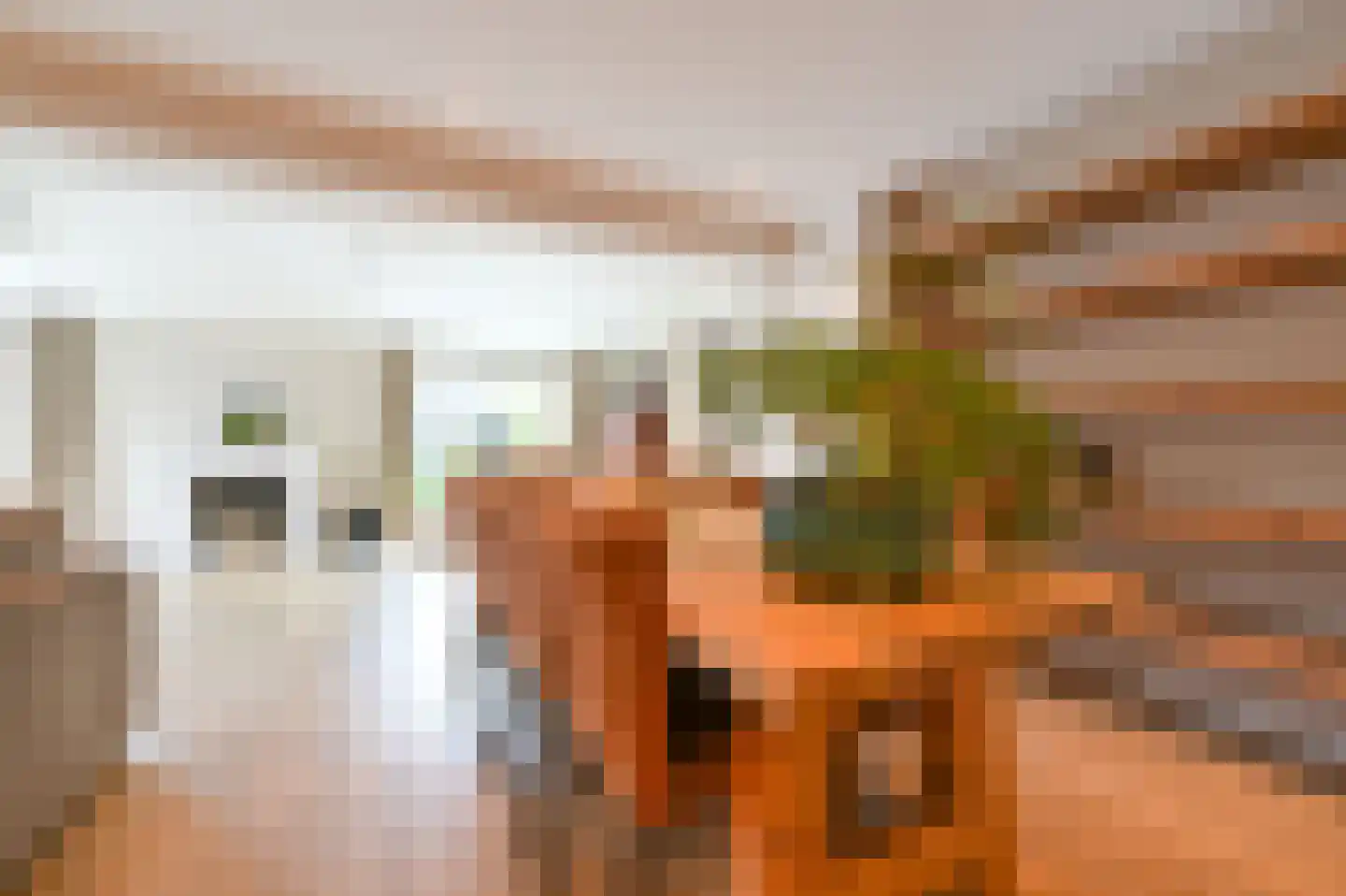 Hogebrinkerweg 5 Hoevelaken thumbnail 9