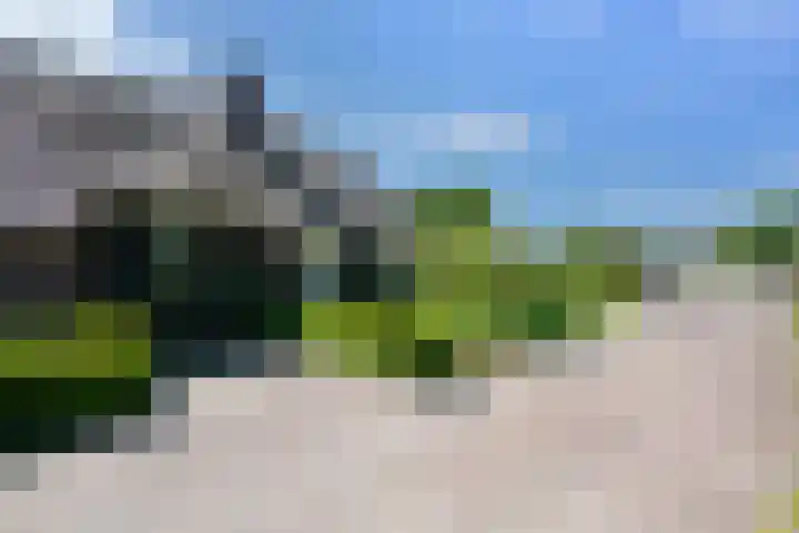 Hogebrinkerweg 56 Hoevelaken thumbnail 10