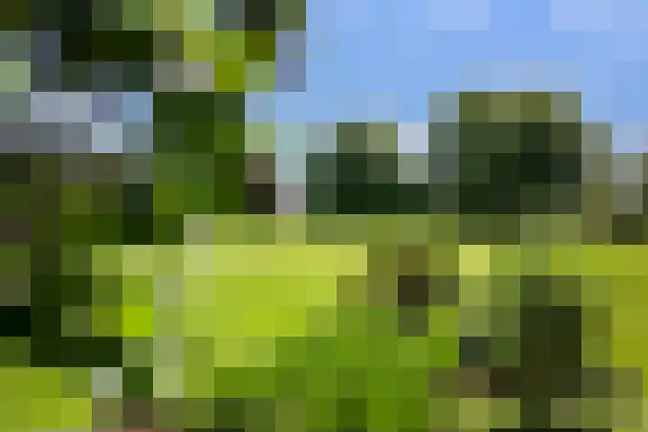 Hogebrinkerweg 56 Hoevelaken thumbnail 53