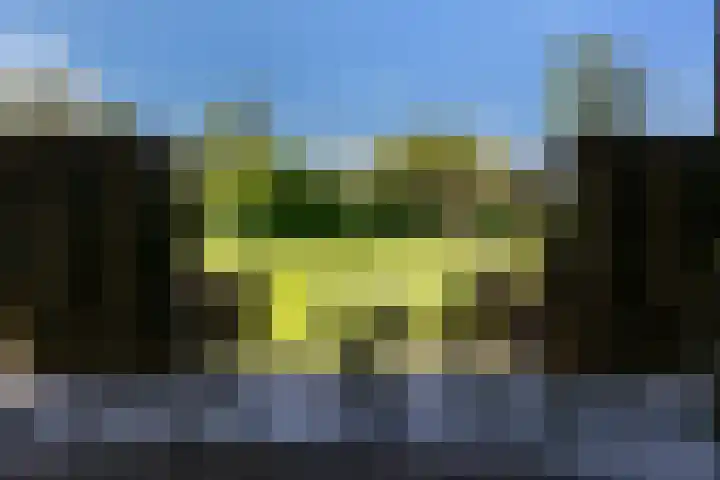 Hogebrinkerweg 56 Hoevelaken thumbnail 60