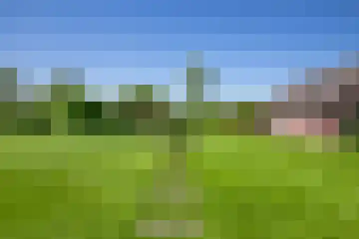 Hogebrinkerweg 56 Hoevelaken thumbnail 61