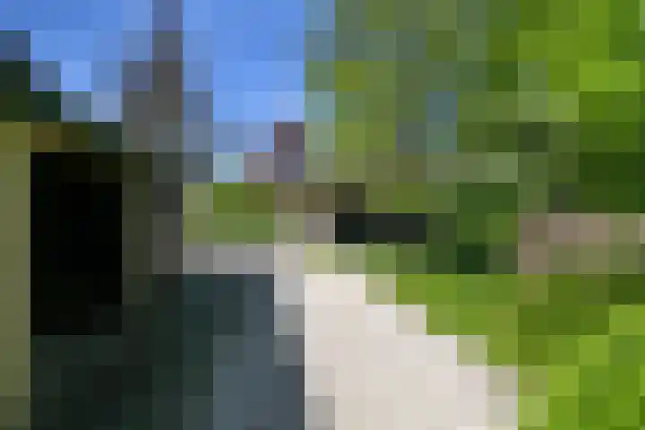 Hogebrinkerweg 56 Hoevelaken thumbnail 8