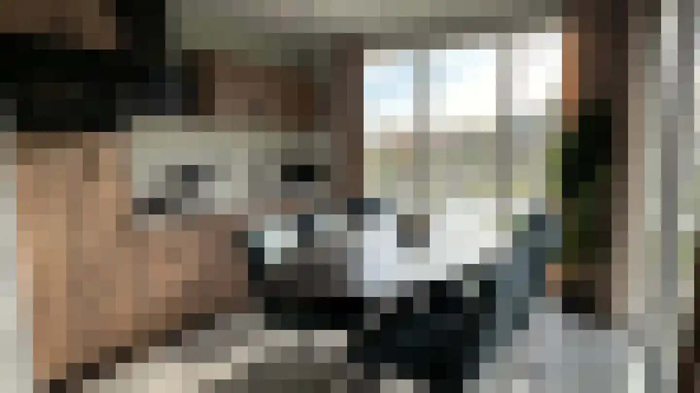 Hogebrugweg 11 A Waarland thumbnail 10