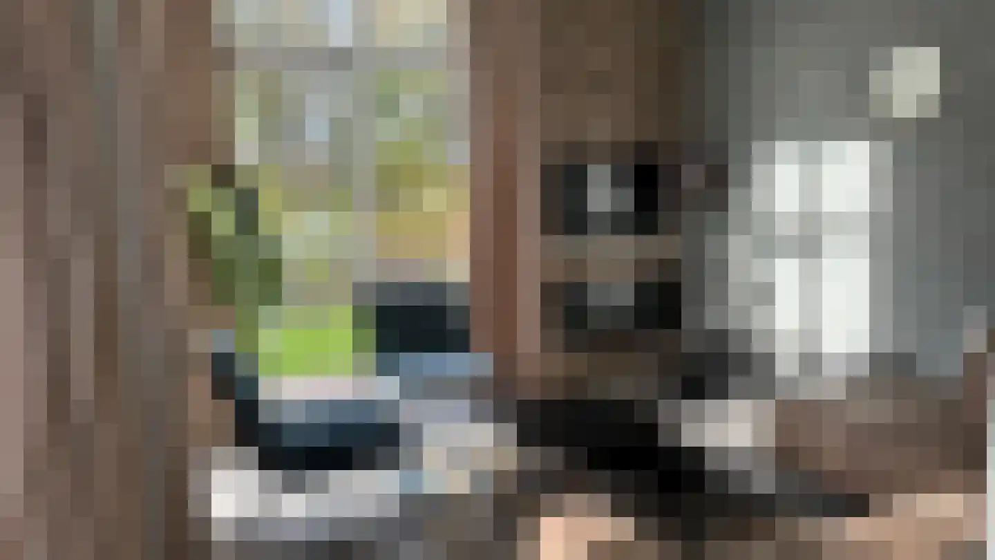 Hogebrugweg 11 A Waarland thumbnail 8