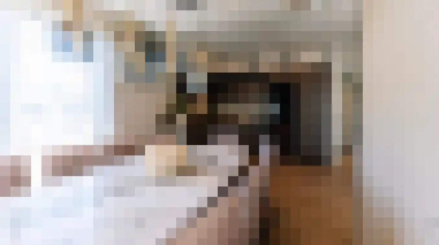 Hogebrugweg 11 h400 Waarland thumbnail 13