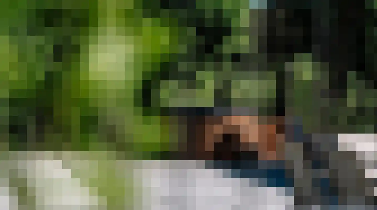 Hogebrugweg 11 h400 Waarland thumbnail 32
