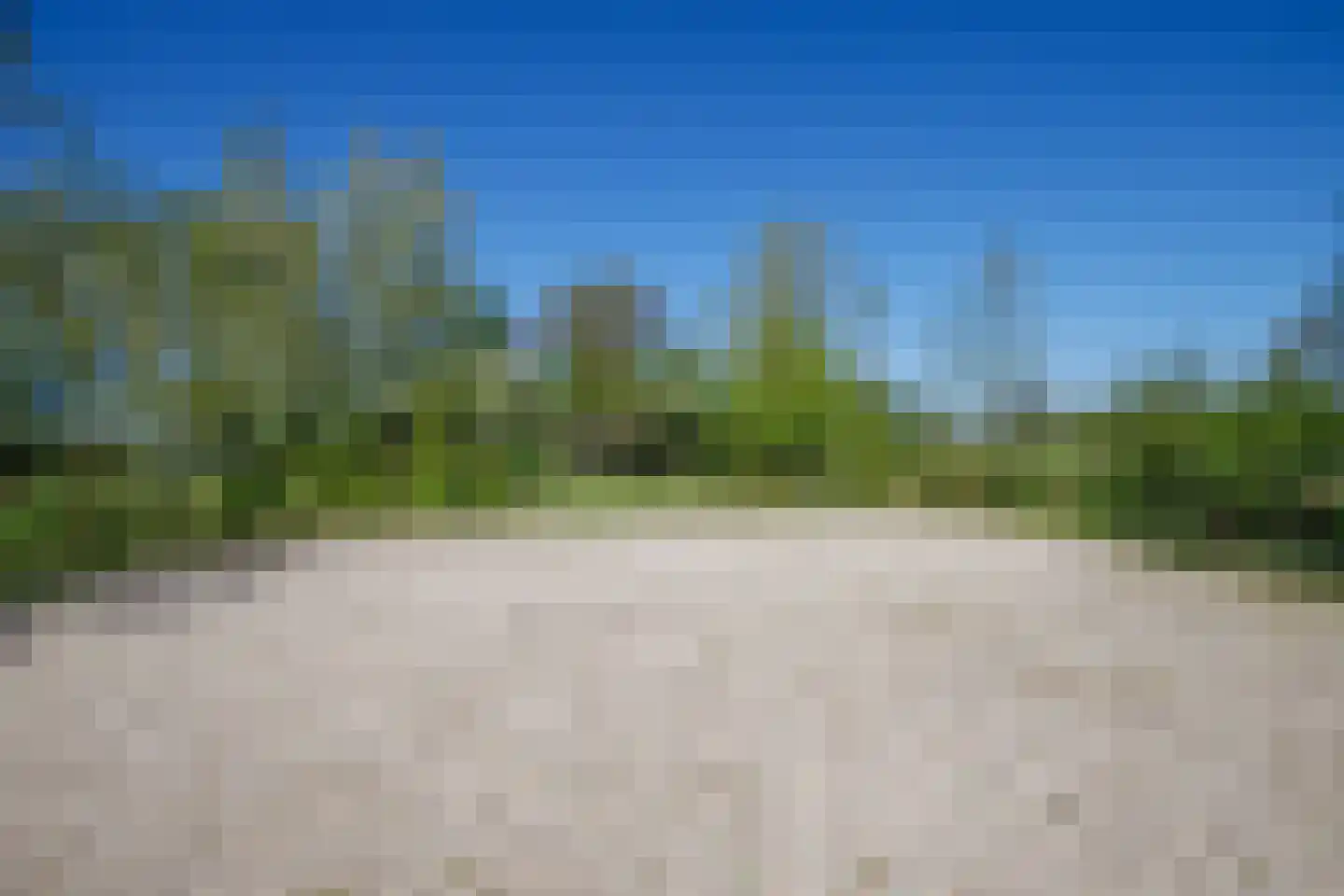 Hogedijk 100 Bergambacht thumbnail 45