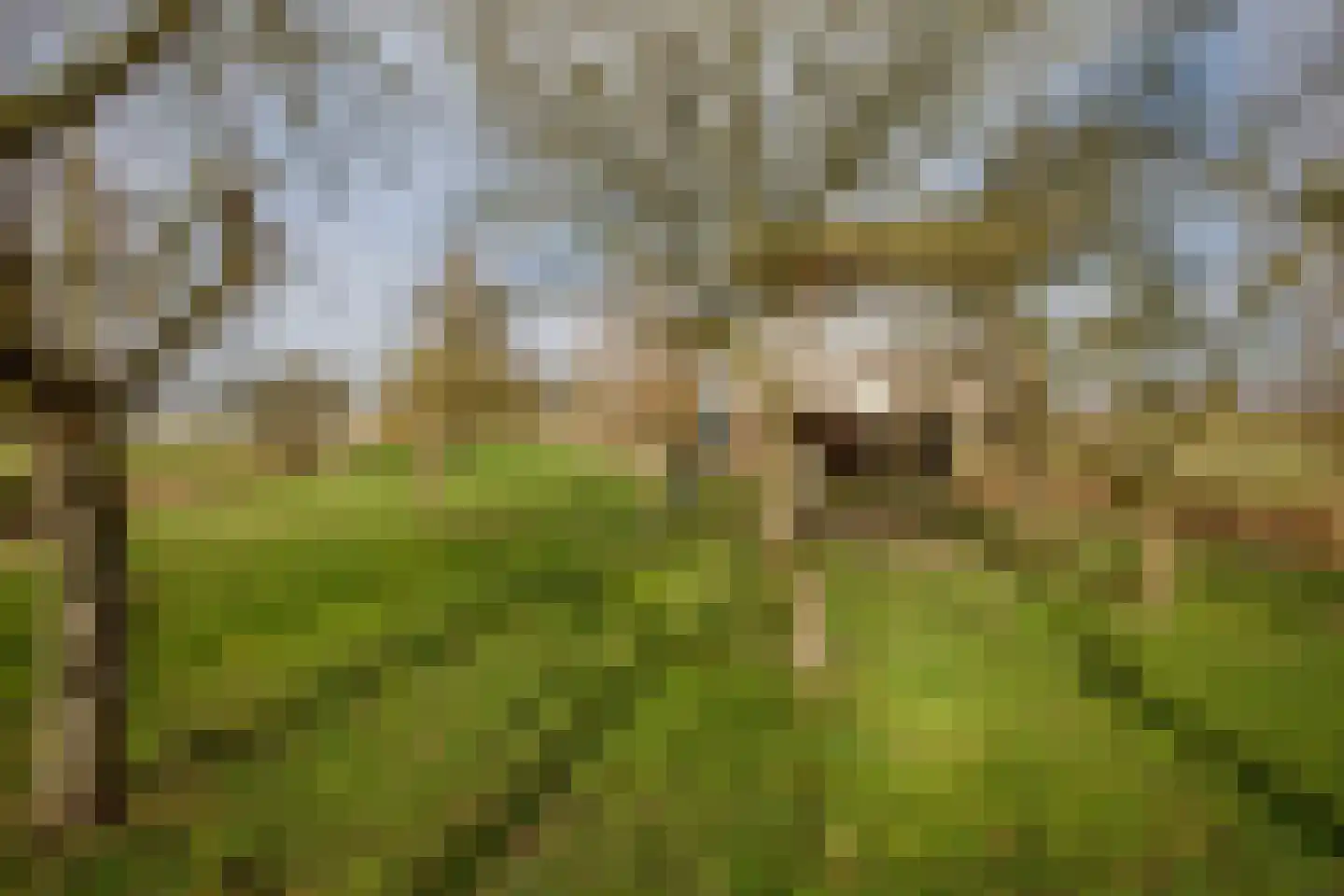Hogedijk 100 Bergambacht thumbnail 47