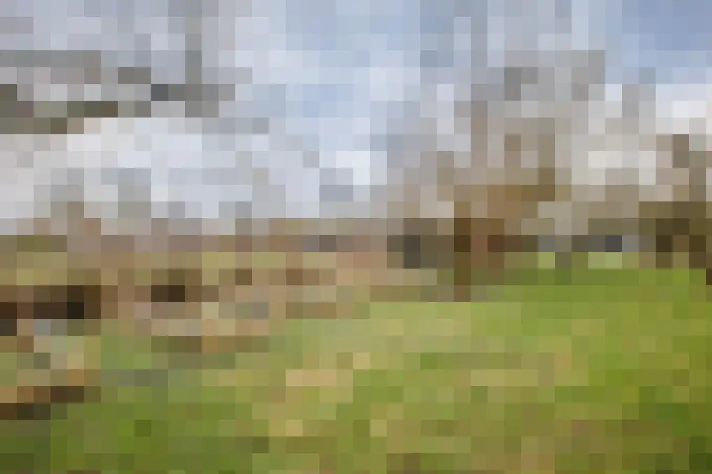 Hogedijk 100 Bergambacht thumbnail 48