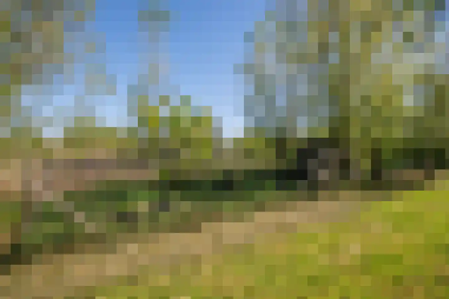 Hogedijk 100 Bergambacht thumbnail 49