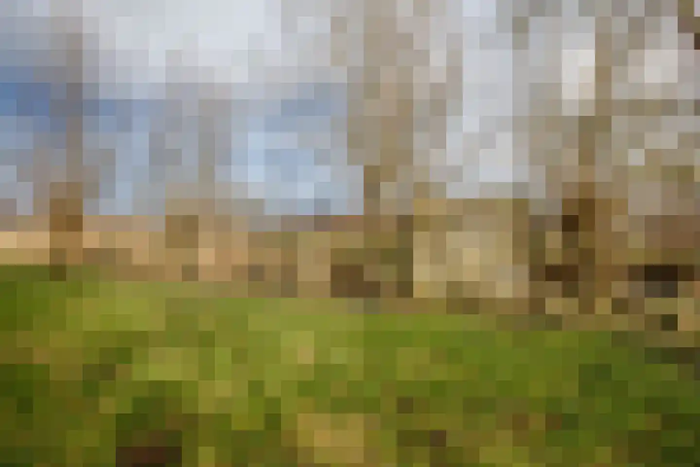 Hogedijk 100 Bergambacht thumbnail 49