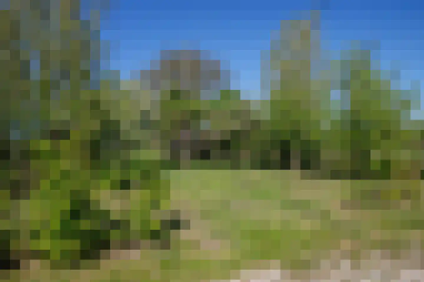 Hogedijk 100 Bergambacht thumbnail 50