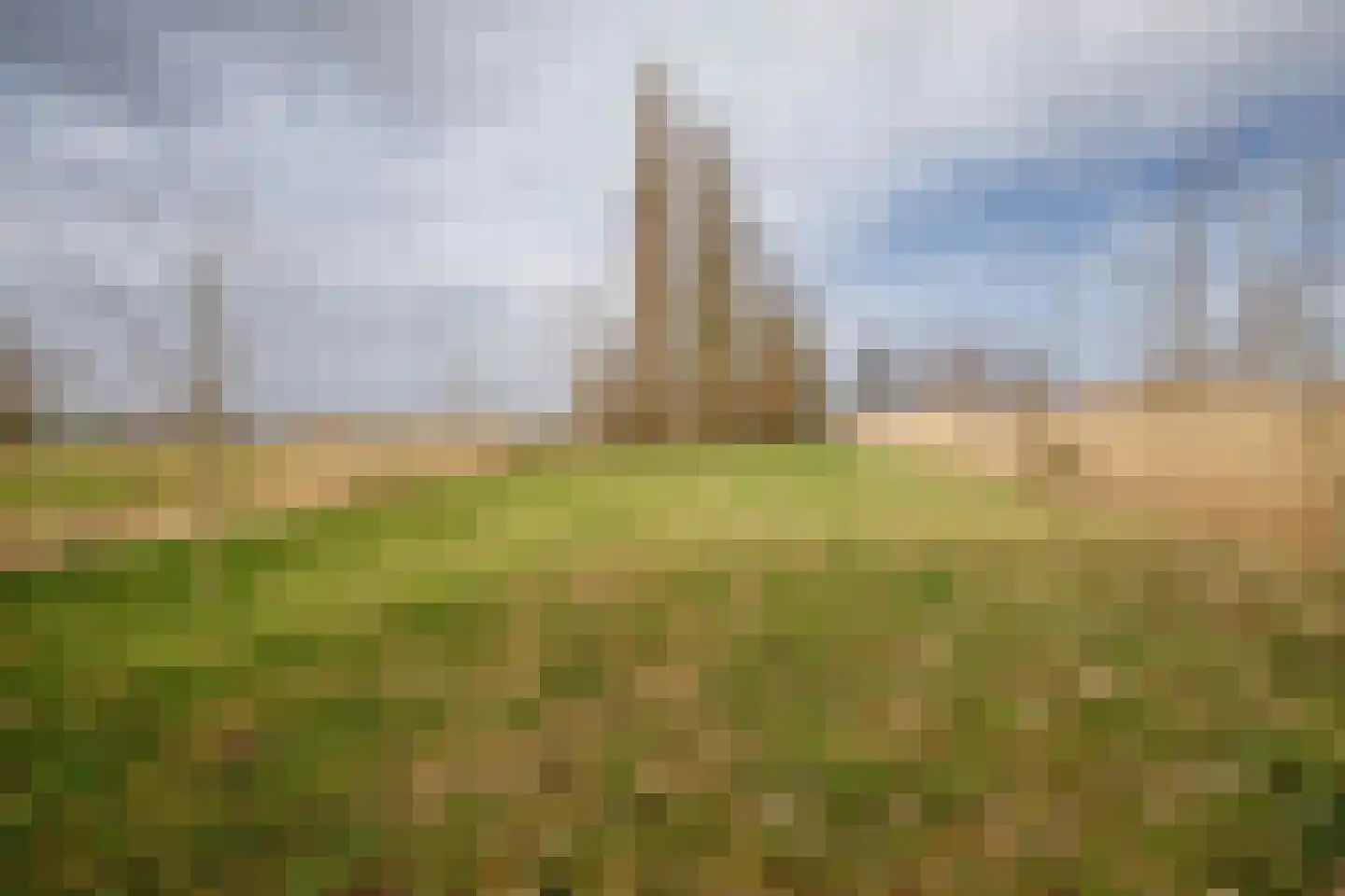Hogedijk 100 Bergambacht thumbnail 50