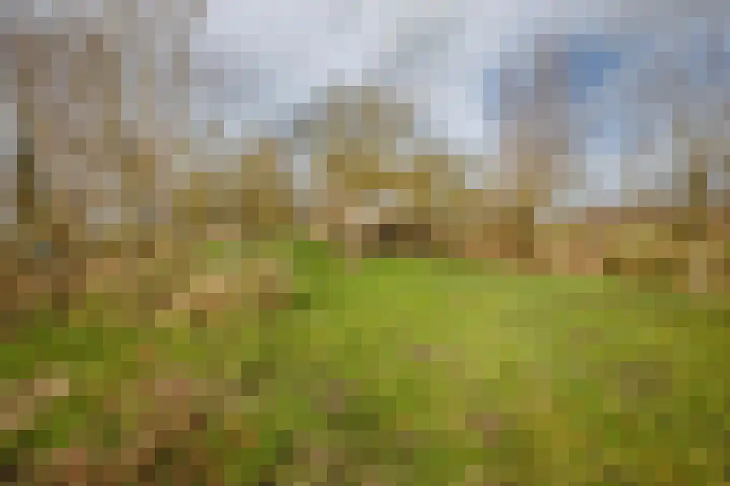 Hogedijk 100 Bergambacht thumbnail 51