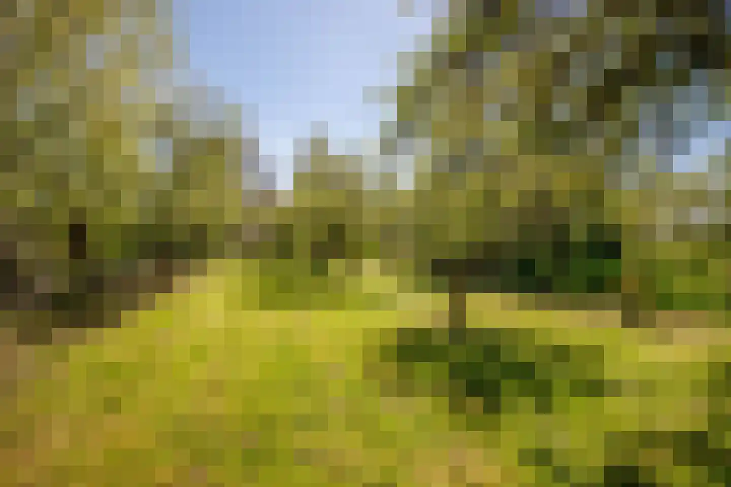 Hogedijk 100 Bergambacht thumbnail 51