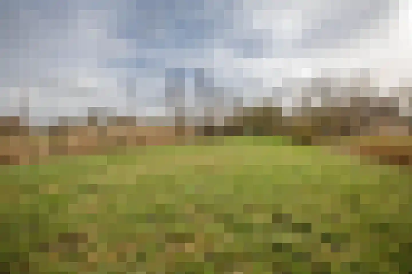 Hogedijk 100 Bergambacht thumbnail 52