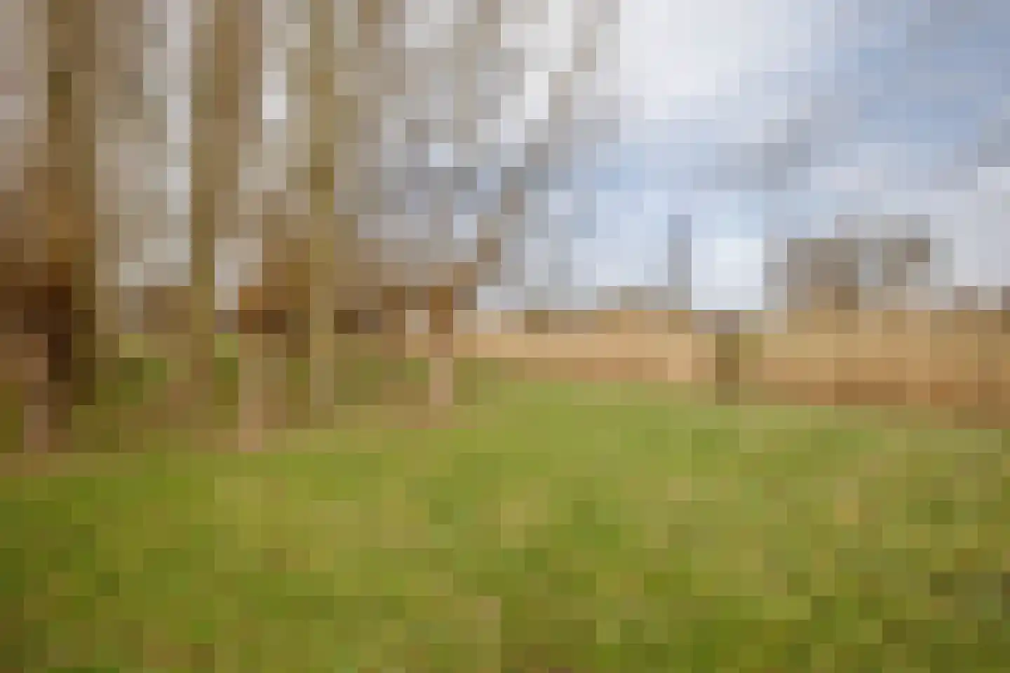 Hogedijk 100 Bergambacht thumbnail 53
