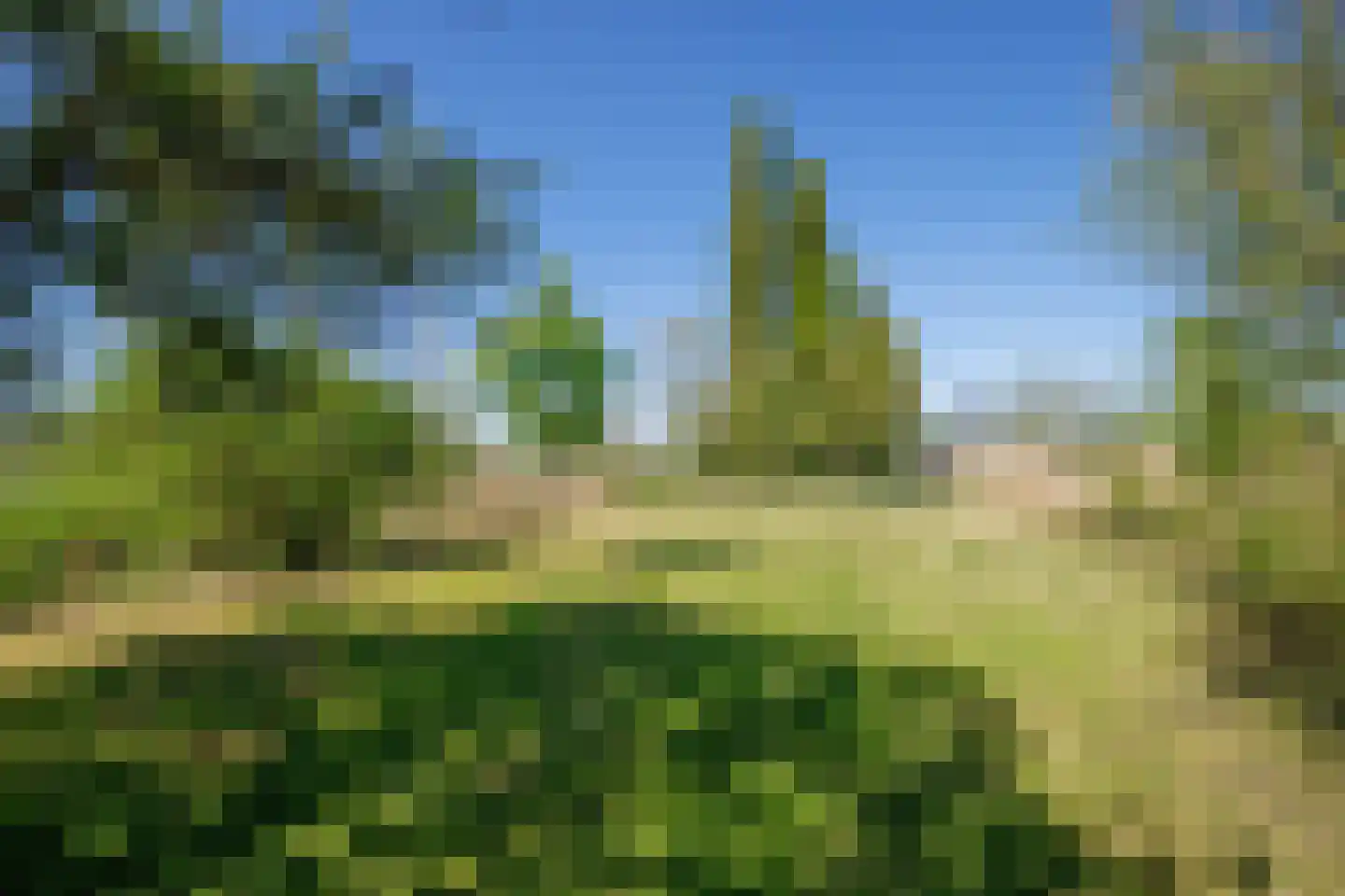 Hogedijk 100 Bergambacht thumbnail 53