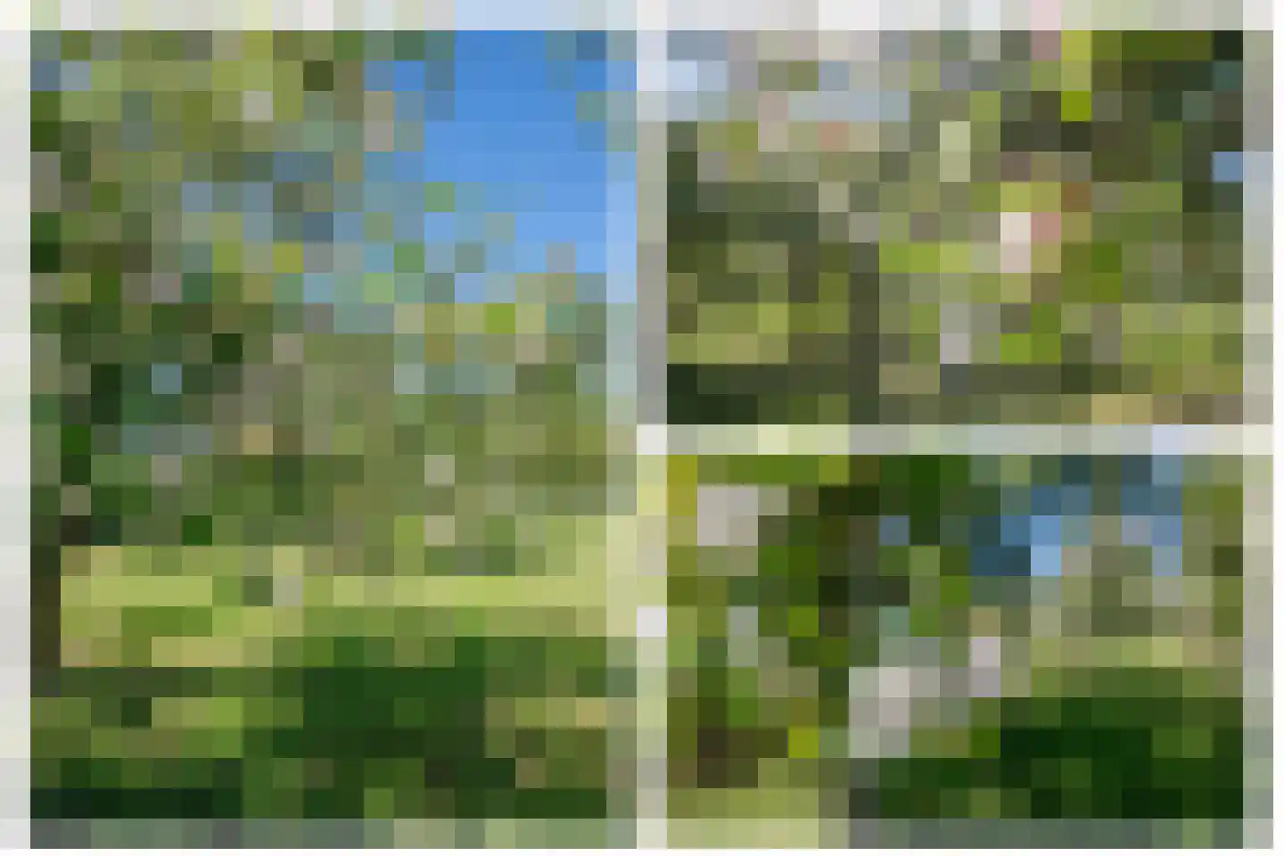 Hogedijk 100 Bergambacht thumbnail 54