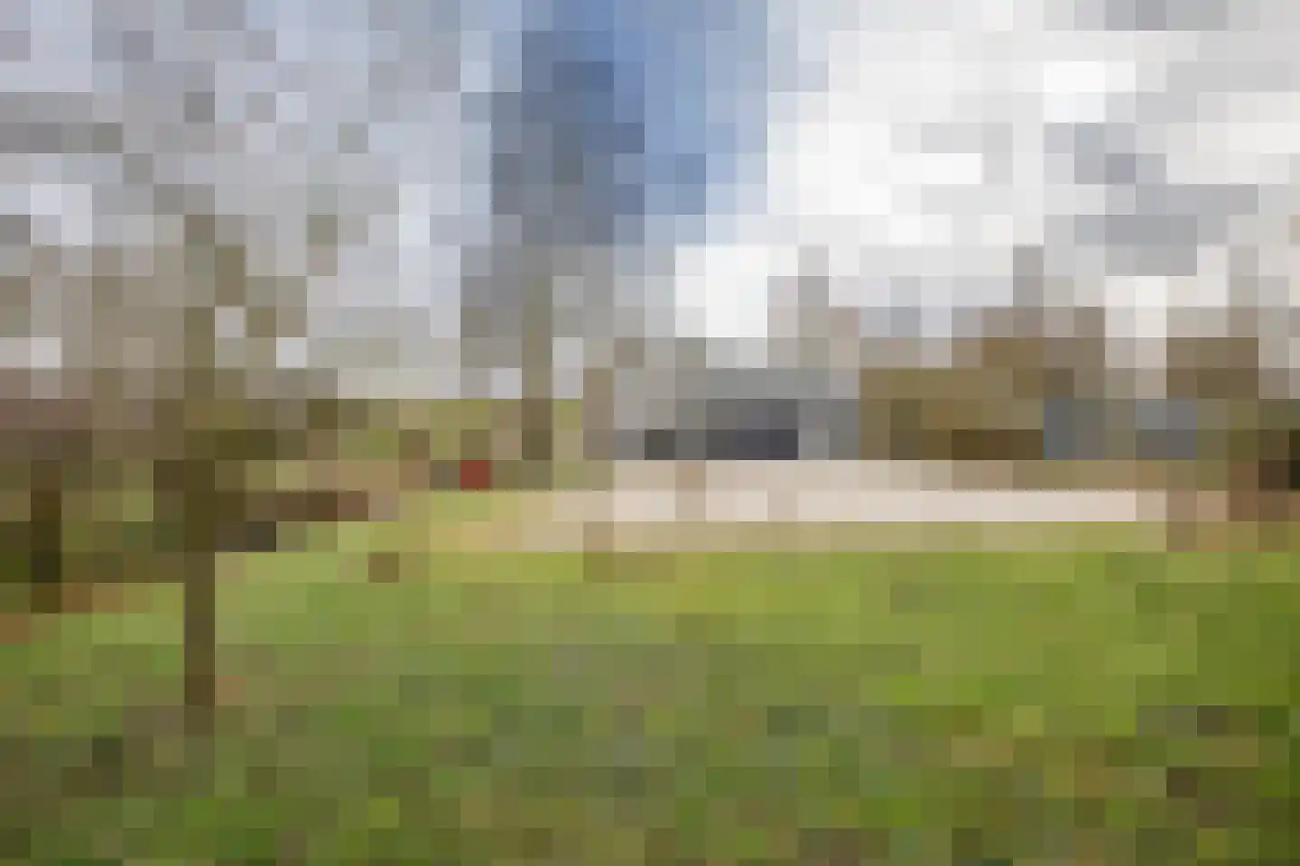 Hogedijk 100 Bergambacht thumbnail 54