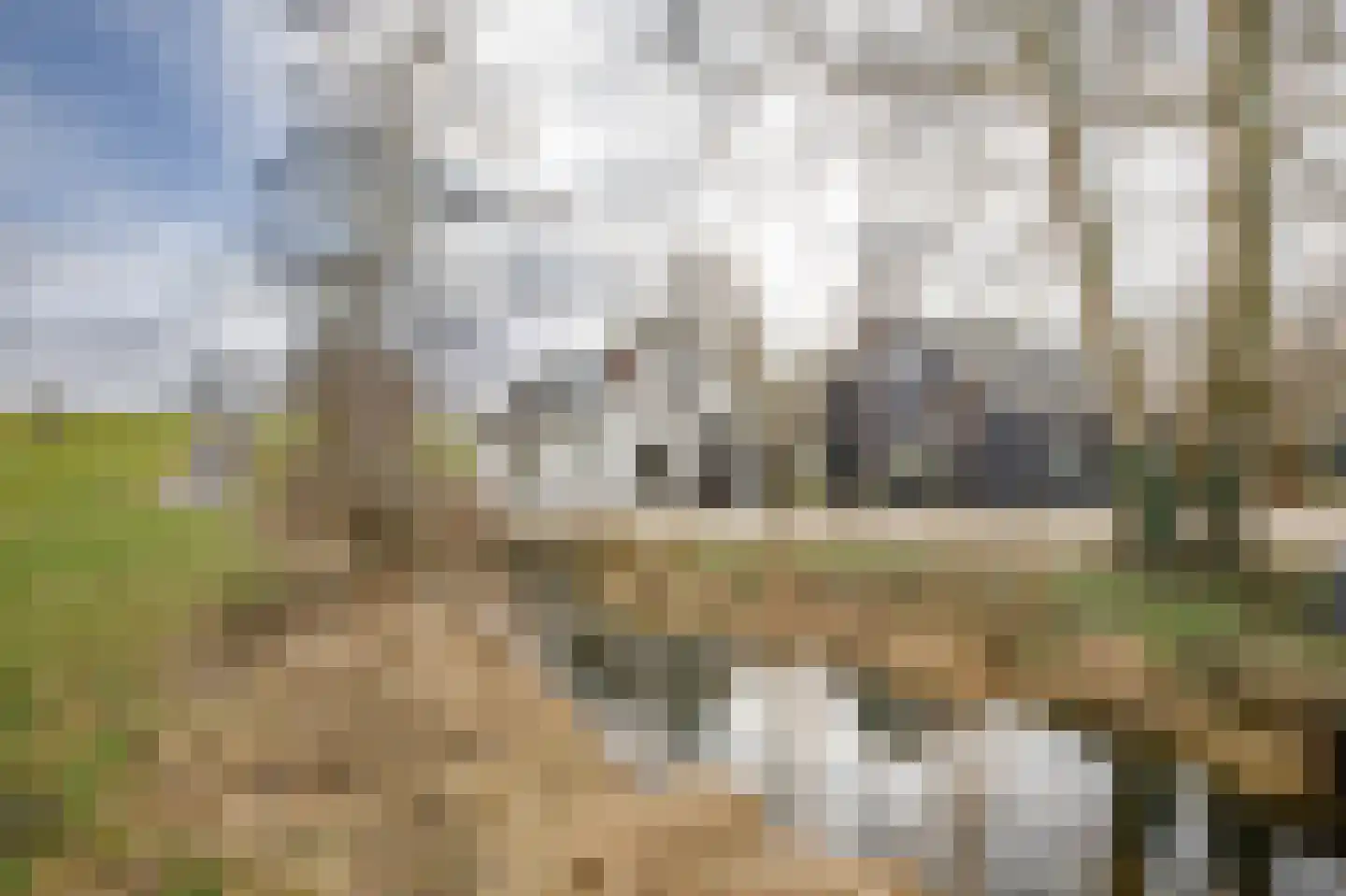 Hogedijk 100 Bergambacht thumbnail 55