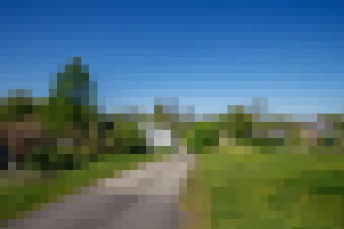 Hogedijk 100 Bergambacht thumbnail 56