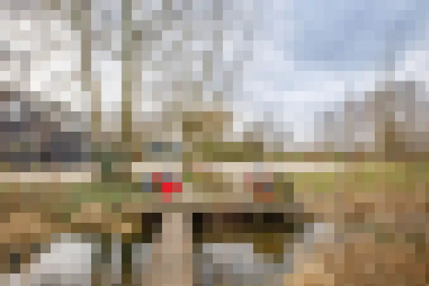 Hogedijk 100 Bergambacht thumbnail 56