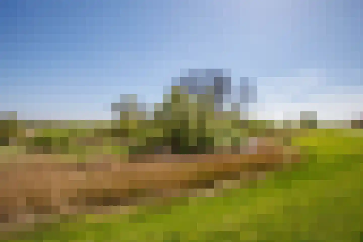 Hogedijk 100 Bergambacht thumbnail 57