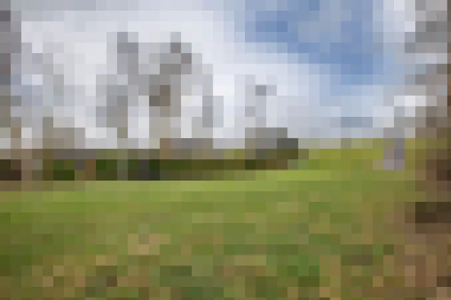 Hogedijk 100 Bergambacht thumbnail 57