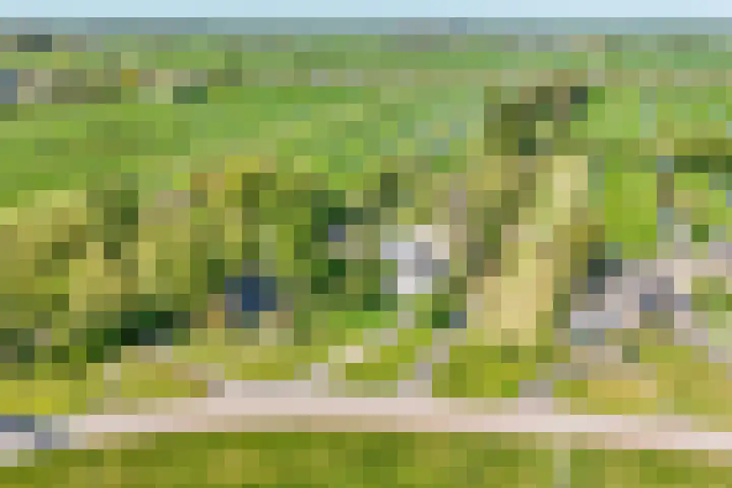 Hogedijk 100 Bergambacht thumbnail 58
