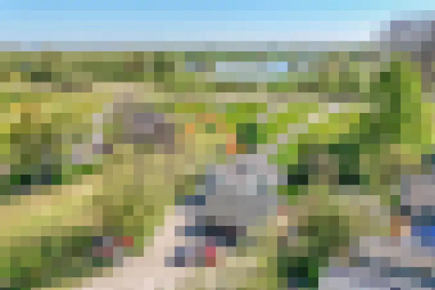 Hogedijk 100 Bergambacht thumbnail 59