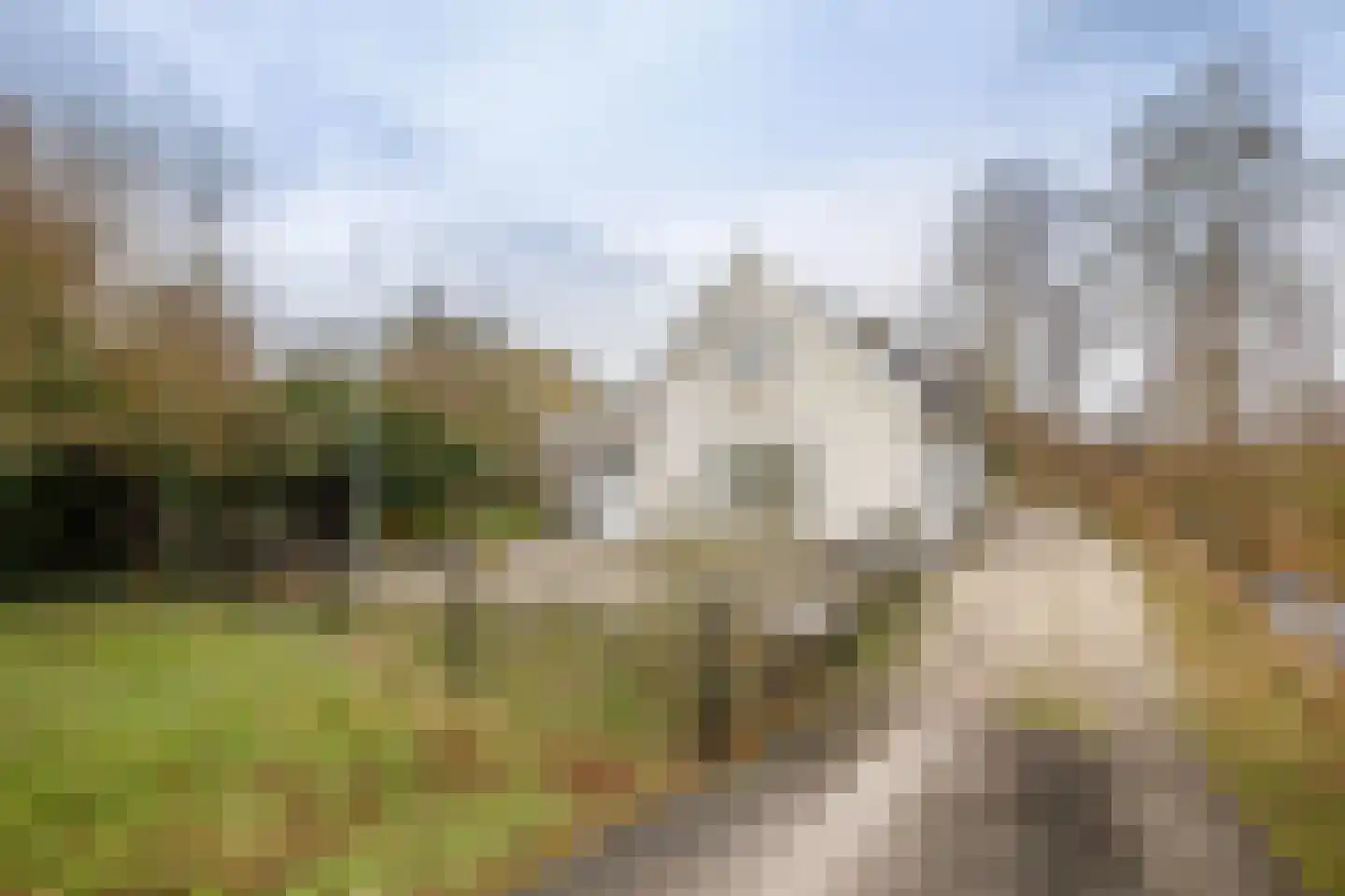 Hogedijk 100 Bergambacht thumbnail 6