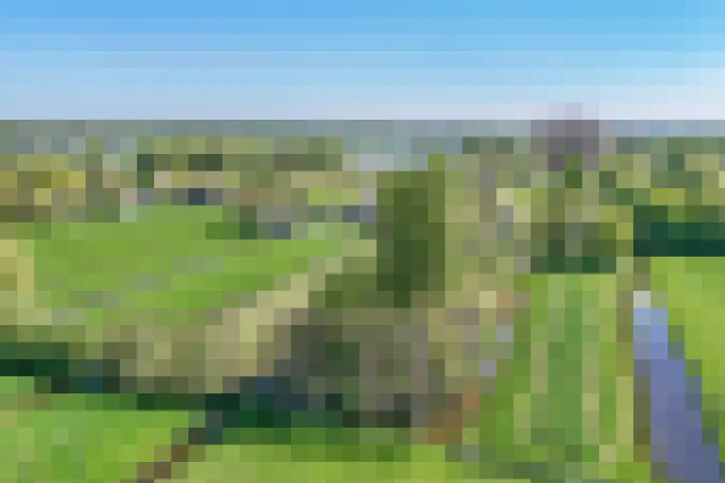 Hogedijk 100 Bergambacht thumbnail 60